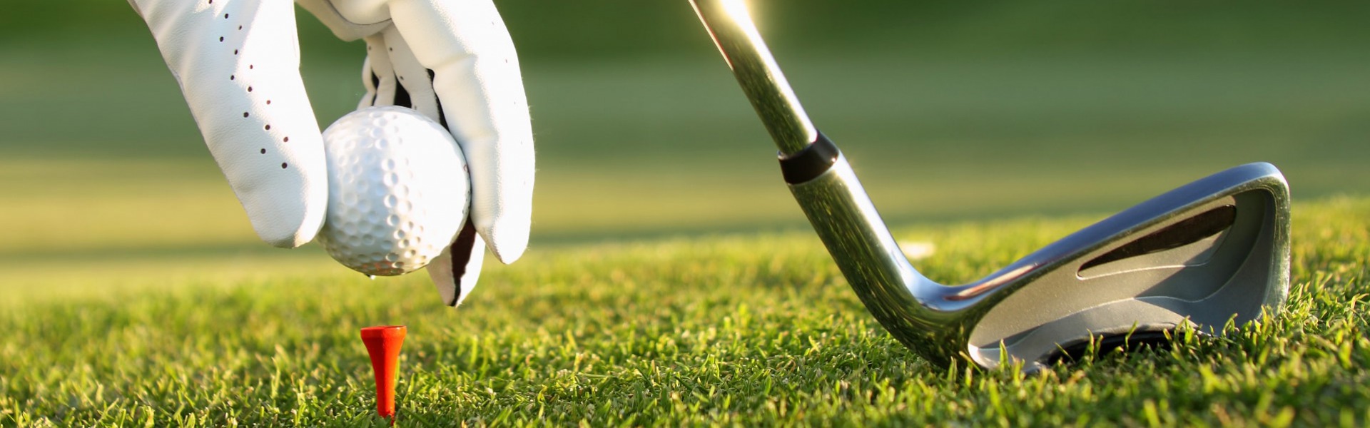 GOLF CLUBS