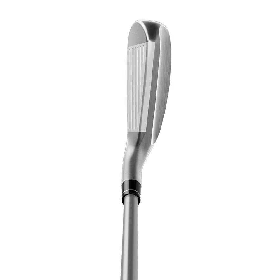 Gậy sắt Utility Stealth DHY AS TM70