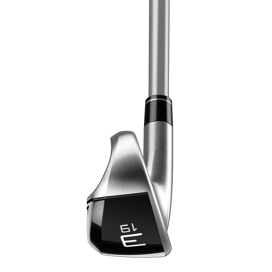 Gậy sắt Utility Stealth DHY AS TM70